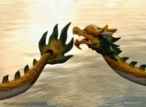 Read more about the article Happy Dragon Boat Festival Day 2022