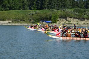 Read more about the article Paddles UP!!!  The Sinopec Calgary Dragon Boat Race & Festival is happening…