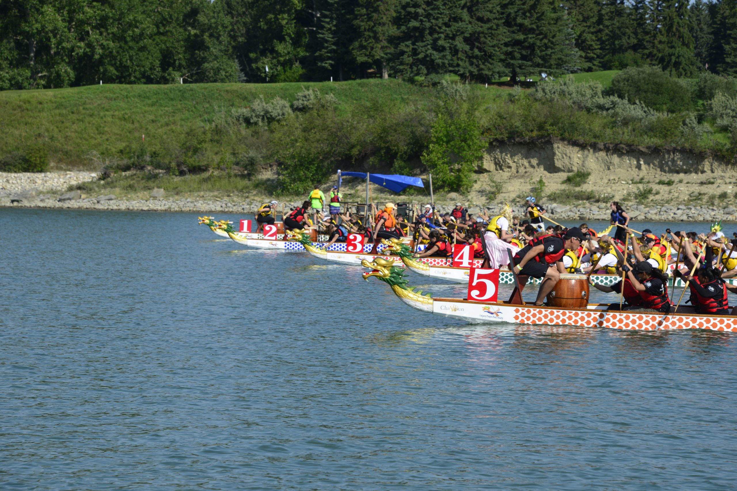 You are currently viewing Race Grid & Site Map are up!